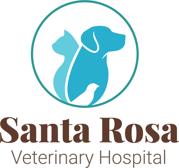 Santa Rosa Veterinary Hospital